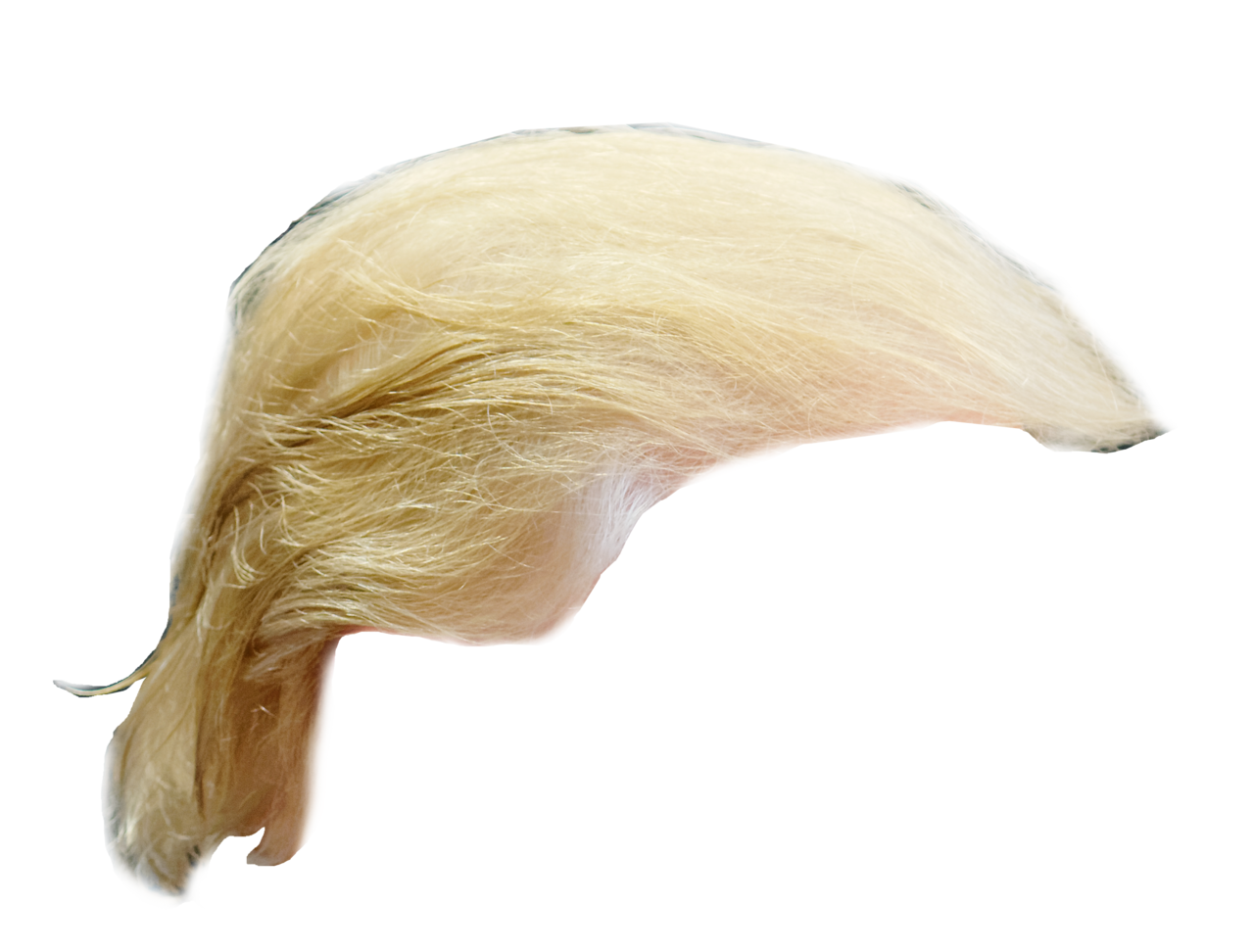 brazilian wigs for sale harare price